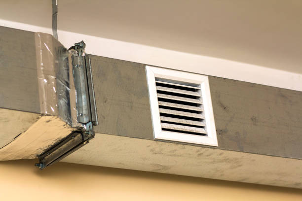 Best Air Duct Cleaning Near Me  in Fruitland, IA