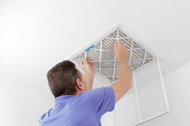 Best Local Air Duct Cleaning Services  in Fruitland, IA